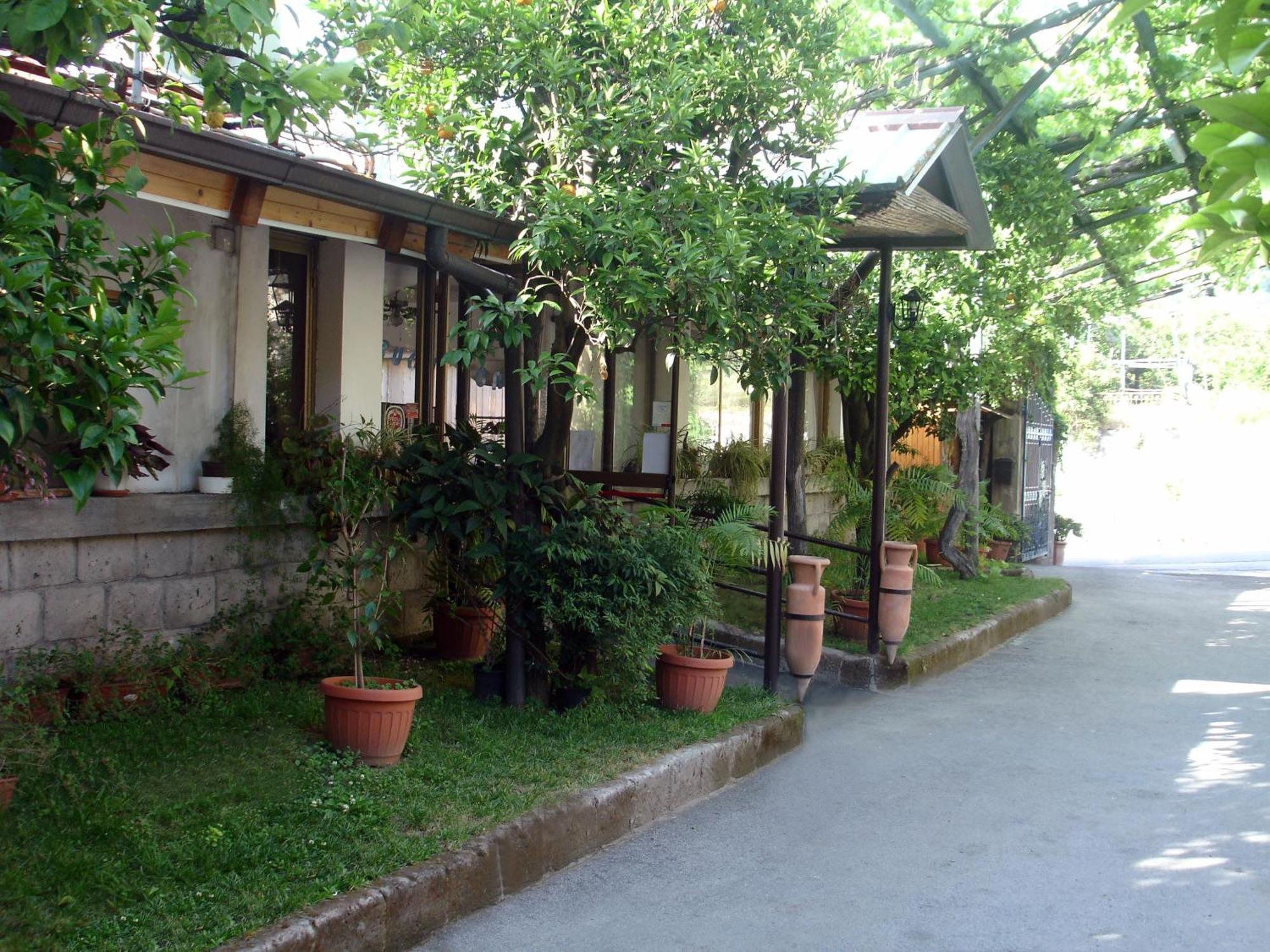 Hotel Fiori D'Arancio Piano di Sorrento Exterior foto